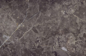 Fior Di Bosco Granite Slab